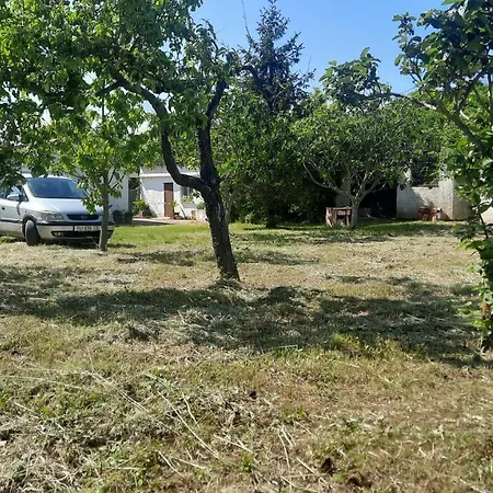 Kuca Za Odmor Mizi