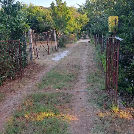 Dom wakacyjny Kuca Za Odmor Mizi