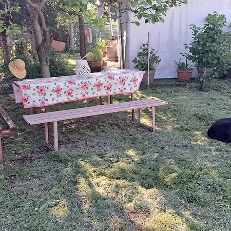 Kuca Za Odmor Mizi Vintijan