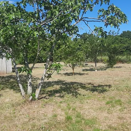 Kuca Za Odmor Mizi Holiday home